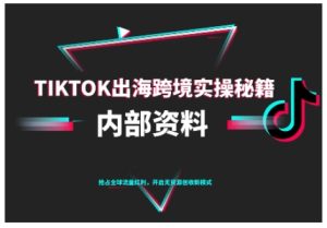 TikTok跨境电商0-1搭建运营,TK出海跨境实操秘籍(10月更新)-苏柒资源库