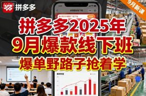拼多多2025年9月爆款线下班,爆单野路子抢着学-苏柒资源库