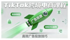 TikTok跨境电商全流程实操课,助力从业者掌握TikTok跨境电商运营核心技能,高效开展业务-苏柒资源库