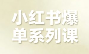 小红书爆单系列课,聚焦小红书电商全链路增长-苏柒资源库