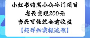 小红书暗黑小众冷门项目每天变现2张当天可能就会有收益-苏柒资源库
