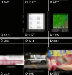 抖音引流创业粉教程,创业粉终于跑通了,私域是永远的王-苏柒资源库