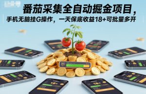 番茄采集全自动掘金项目,手机无脑挂G操作,一天保底收益18+可批量多开【揭秘】-苏柒资源库