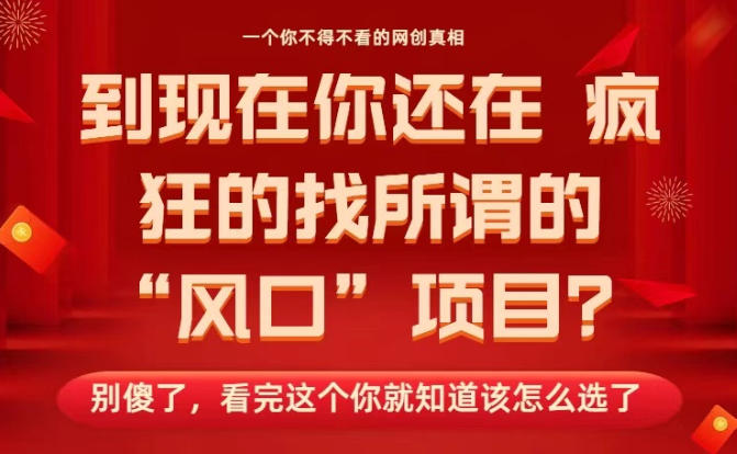 马上26年了，你还在找所谓的风口项目？别傻了，看完这个你全都懂了！【揭秘】-苏柒资源库
