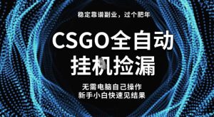 【稳定副业】全球最热门游戏CSGO全自动捡漏,最新玩法,新手小白日入5张+【揭秘】-苏柒资源库