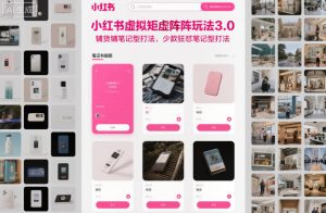 小红书虚拟矩阵玩法3.0,铺货铺笔记型打法,少款狂怼笔记型打法-苏柒资源库