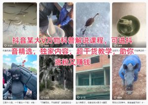 抖音某大V万物科普解说课程,可进抖音精选,独家内容,超干货教学,助你涨粉又賺钱-苏柒资源库
