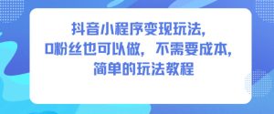 抖音小程序变现玩法,0粉丝也可以做,不需要成本,简单的玩法教程-苏柒资源库