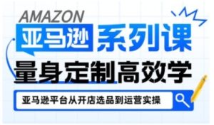 亚马逊新手开店从入门到精通,全面覆盖亚马逊开店各阶段要点,助新手从入门到精通-苏柒资源库