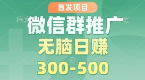 首发项目,微信群推广掘金,多号矩阵无脑日入3-5张【揭秘】-苏柒资源库