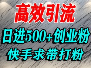 怎么打创业粉?快手求带视角精准引流创业粉,宝妈、学生群体日进500+精准流量-苏柒资源库