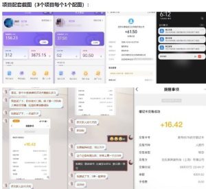 当天能收益的3个小项目拆解_包括平台+操作流程-苏柒资源库